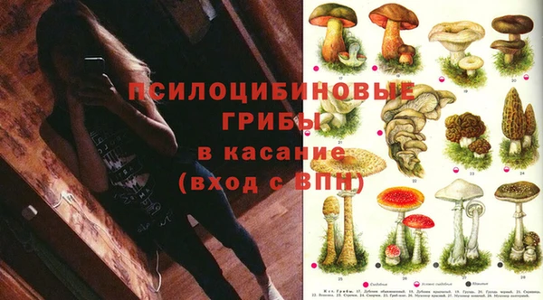 СК Алзамай