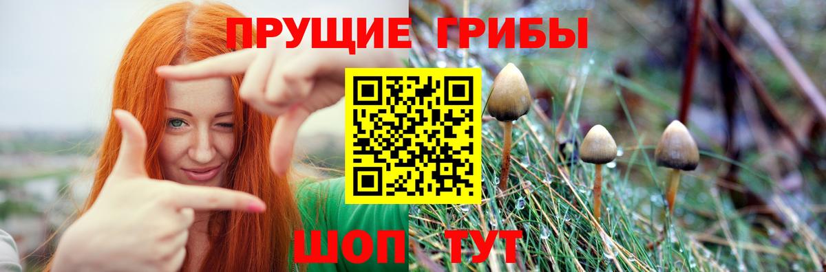 Псилоцибиновые грибы Psilocybe  Псилоцибиновые грибы ЛСД  Когалым  что такое   Вход с VPN 